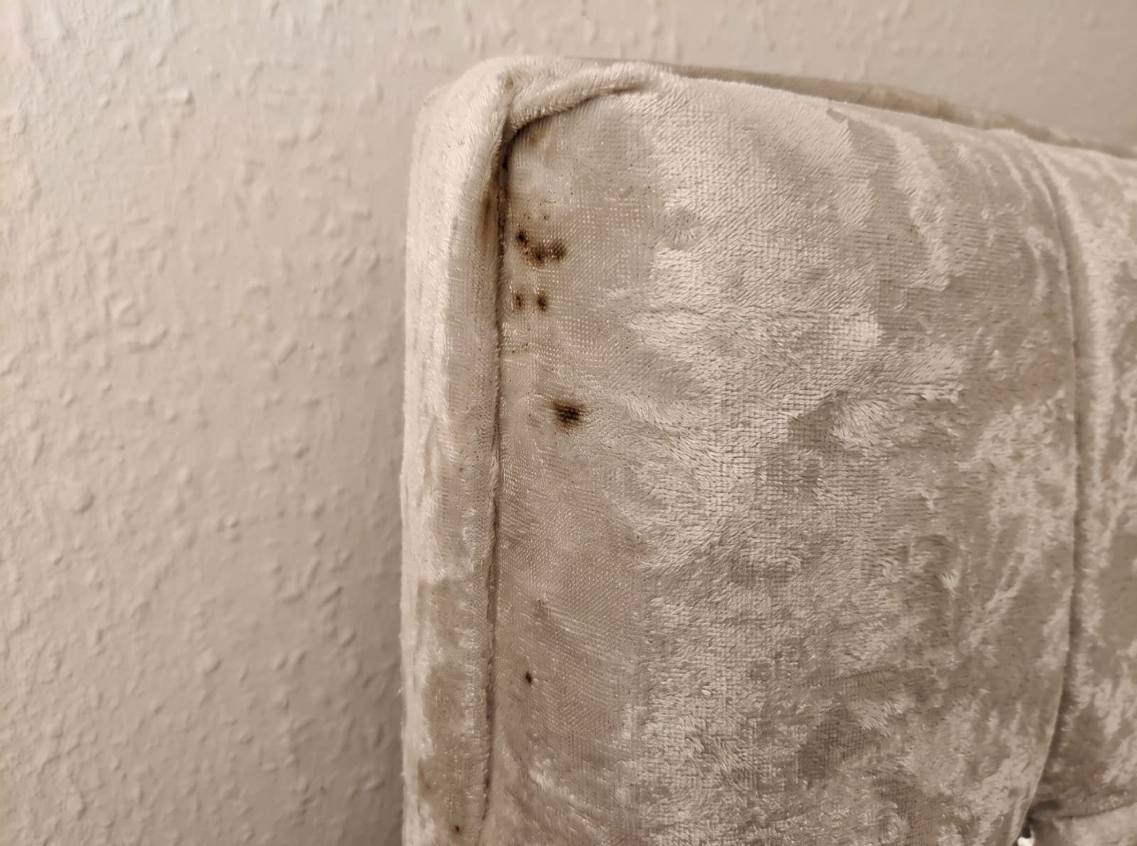 The piped corner seam of a pale cream velvet headboard against a textured wall. Small dark brown spots run down the fabric beside the seam, with some smudging where someone has tried to clean the stains.